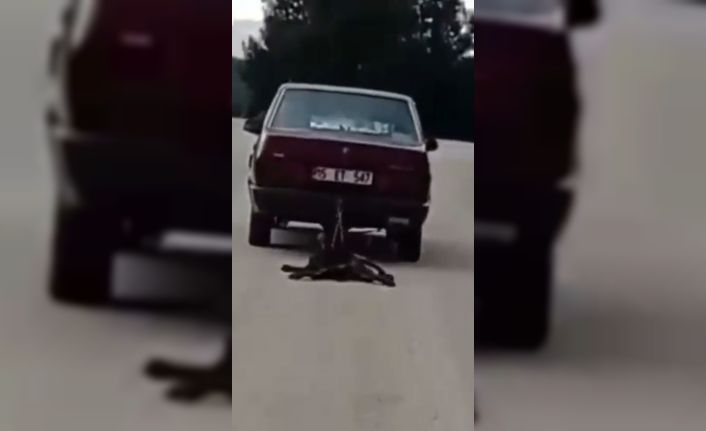 Burdur’da köpeği aracının arkasında sürükleyen şahıs tutuklandı