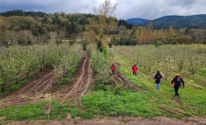Çanakkale’de zirai don hasar tespit çalışmaları devam ediyor