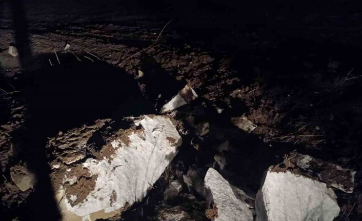 Define avcıları Tiktok’tan yakayı ele verdi