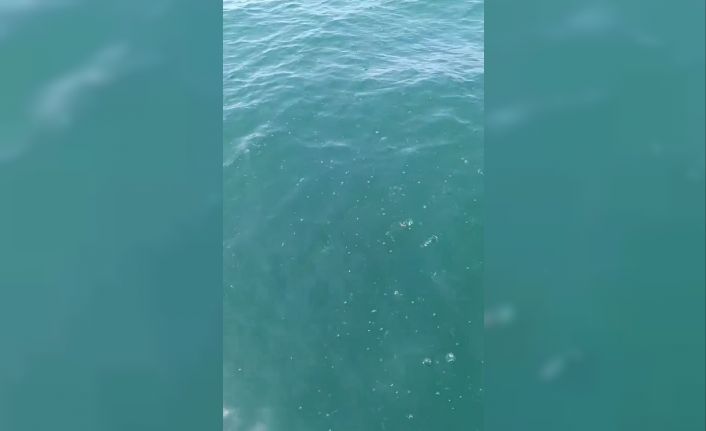 Depreme denizde yakalandılar: "Marmara açıklarında bir gürültü koptu, tekne sallandı"