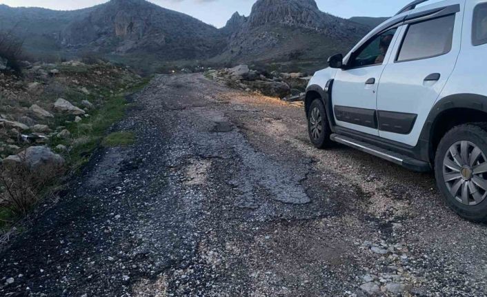 Diyarbakır’da vatandaştan DEM Partili Lice Belediyesine yol tepkisi