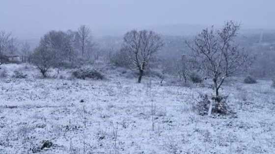 Edirne kar yağışıyla beyaza büründü