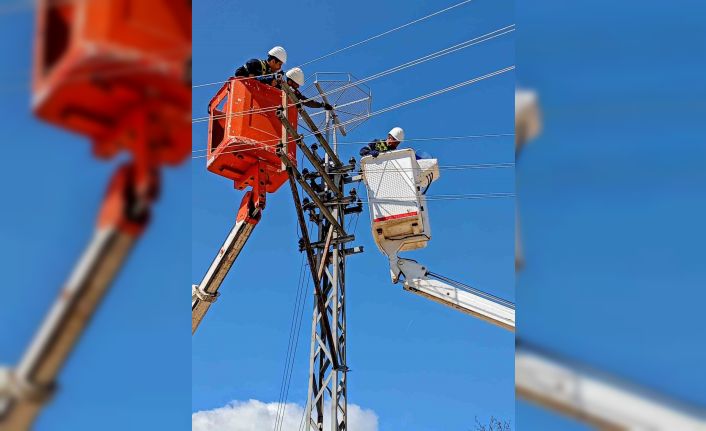 Edirne’de leylekler için elektrik direklerine yuvalar yerleştirildi
