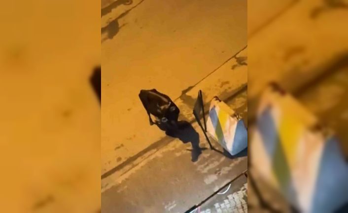 Elazığ’da 3 gündür hastane önünde bekliyor: Akıbeti merak ediliyor