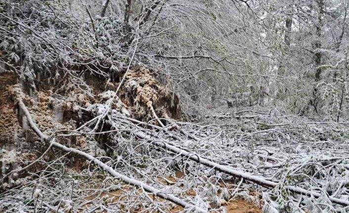 Heyelandan kapanan yol yeniden ulaşıma açıldı