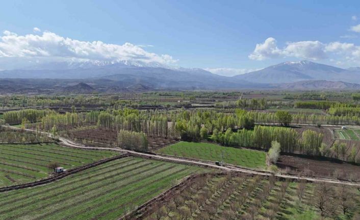 Iğdır’daki İrem Bağları’nda ilkbahar renkleri