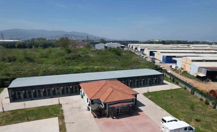 Kahraman köpek Proteo’nun adının yaşadığı merkez, sokak hayvanlarına şifa dağıtıyor