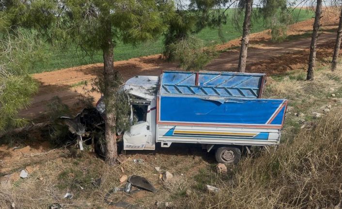 Kamyonet ağaca çarptı, sürücü yaralandı