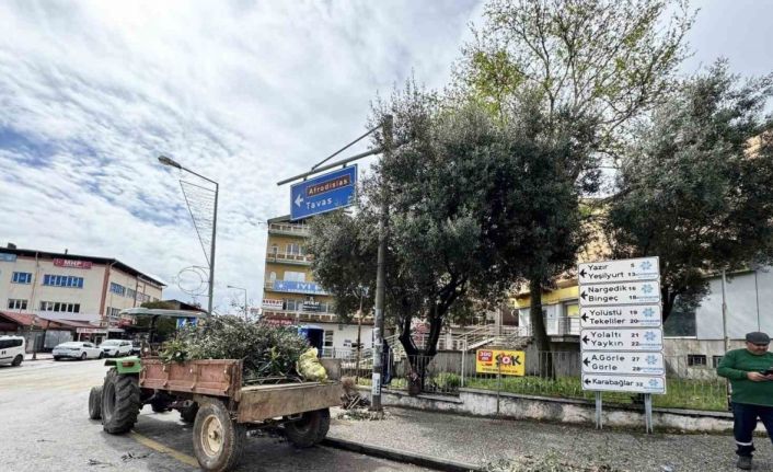 Karacasu’da çevre düzenlemesi devam ediyor