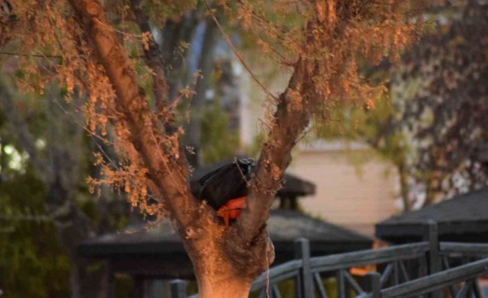 Karaman’da fünye ile patlatılan çantadan para çıktı