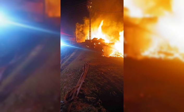 Kastamonu’da alevlere teslim olan ev küle döndü