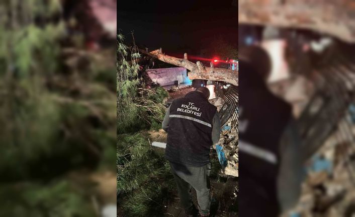 Koçarlı’da belediye ekiplerinden yağış ve fırtına mesaisi