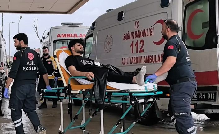 Kontrolden çıkan kamyonet direği devirdi