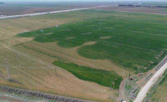 Kuraklığın etkisiyle yarıkların oluştuğu Amik Ovası için bilim adamından kritik uyarı