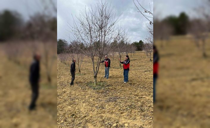 Kütahya Tarım ve Orman İl Müdürlüğü’nden çiftçilere monilya hastalığı uyarısı