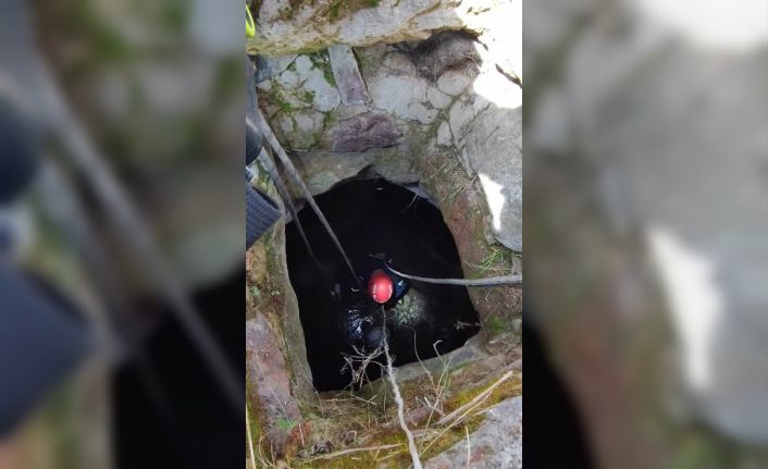 Kuyuya düşen minik köpeği itfaiye ekipleri kurtardı