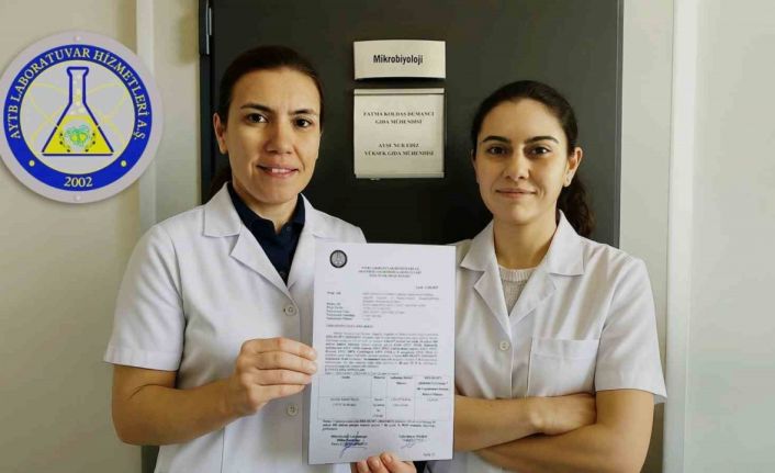 Laboratuvara alınan HBX-HGM71 antimikrobiyal etkisiyle şaşırttı: 10,6 milyar bakteriyi 7 dakikada yok etti