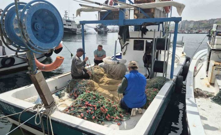 Müsilaj endişesi yeniden gündemde: "Balığın etine zararı yok"