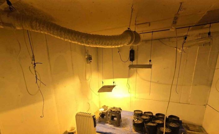 Sakarya’da uyuşturucu ve kaçakçılık operasyonları: 41 tutuklama