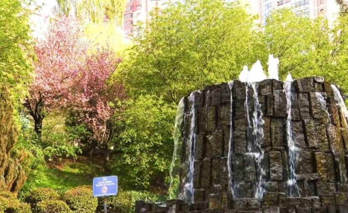 Sakuralar çiçek açtı: Vatandaşlar akın etti