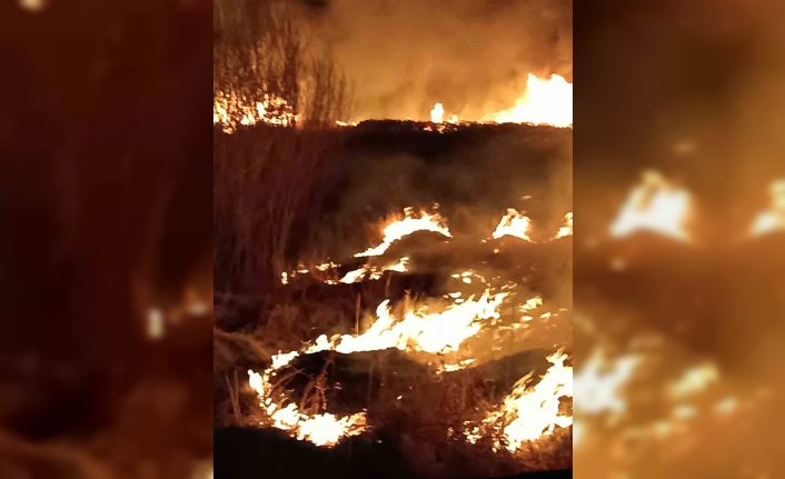 Van’ın Gevaş ilçesinde son 2 günde 3 sazlık alan yandı