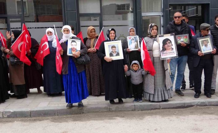 Vanlı annelerin evlat nöbeti 100’üncü haftasında