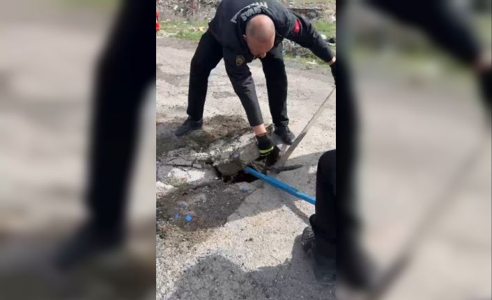 Yağmur suyu hattına düşen yavru ördek kurtarıldı