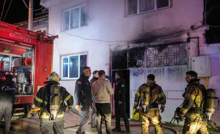 Yanan binadaki köpeği itfaiye ekipleri kurtardı