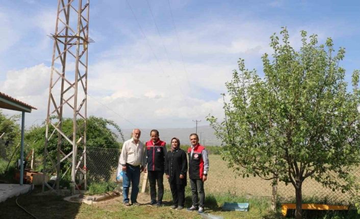 40 binin üzerinde ağaç diken Erzincanlı profesör, kazlarla biyolojik mücadele uyguluyor