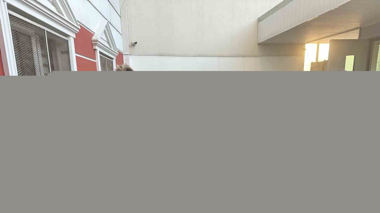 Adana’da öğretmenin otizmli çocukları dövdüğü iddiası