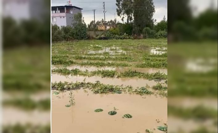 Adana’nın ilçelerinde tarım arazileri sular altında kaldı