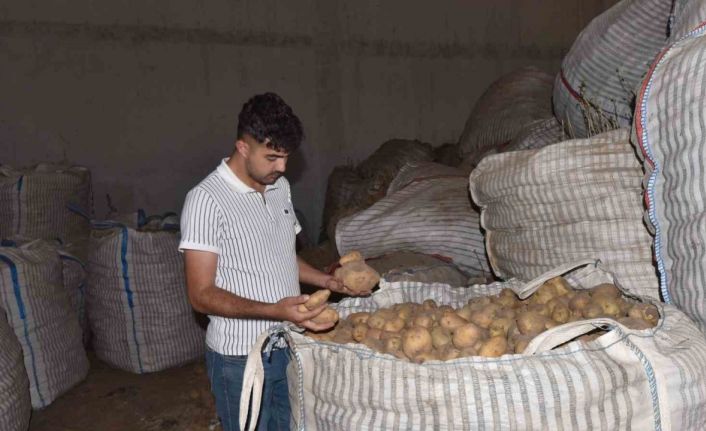 Ahlat’ta binlerce ton patates alıcı bekliyor