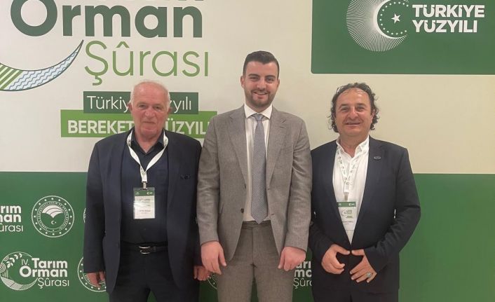 Ahşap palet sektöründen 18. madde çağrısı: "Palet havuzu modeli için hazırız"