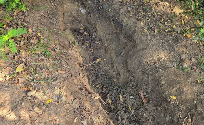 Ailesinin kayıp ihbarı cinayeti ortaya çıkardı