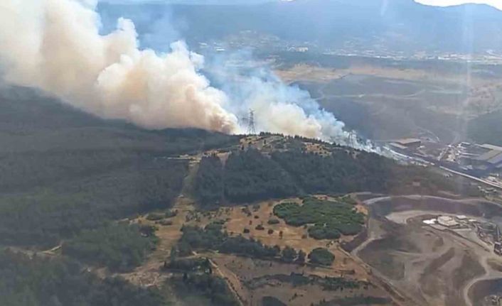 Aliağa’da orman yangını