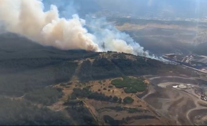 Aliağa’da ormanlık alandaki yangın kontrol altında