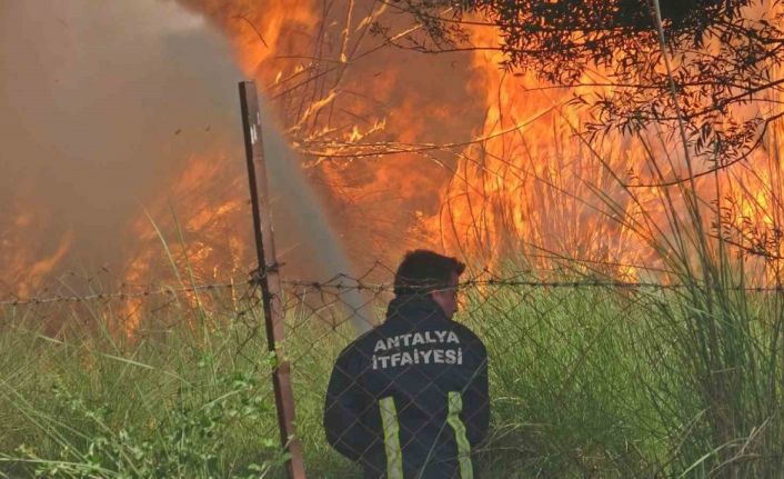 Antalya’da itfaiye erleri alevlerle burun buruna kaldı, bir adım geri atmadılar