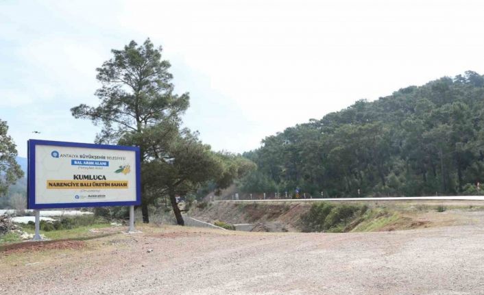 Antalya’da narenciye balı için coğrafi işaret tescil çalışması