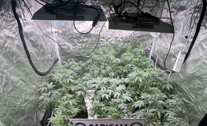 Apartman dairesine uyuşturucu serası kurmuşlar: 3 gözaltı