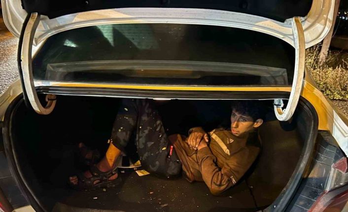 Araçların bagajlarından göçmen çıktı