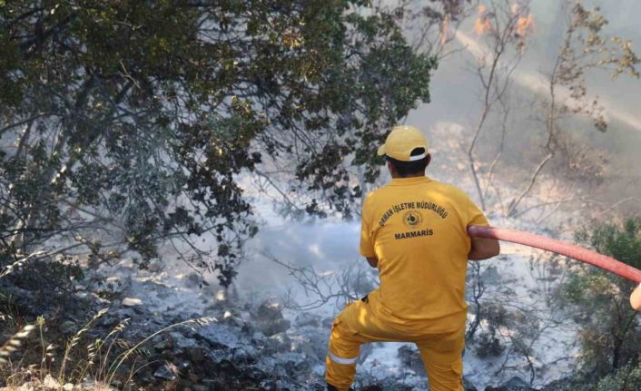 Ateş savaşçıları alevlere geçit vermedi