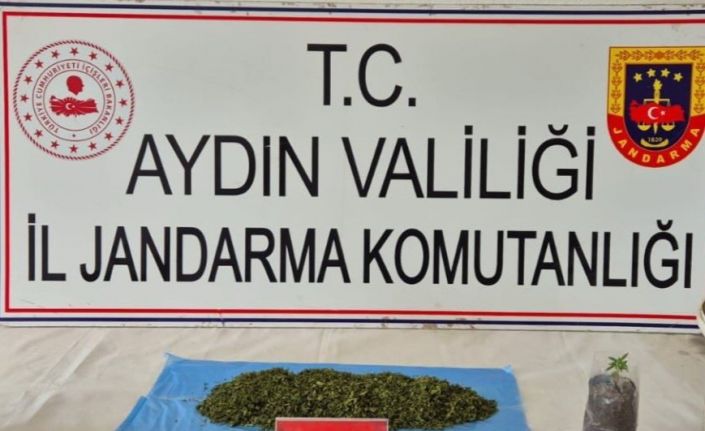 Aydın’da uyuşturucu operasyonu: 36 şüpheli yakalandı