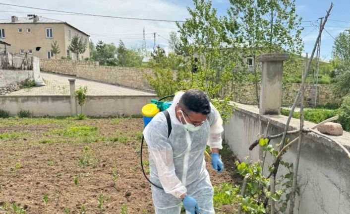 Aydıntepe’de yabancı ot mücadelesi başlatıldı