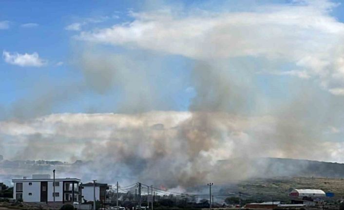 Ayvacık’ta otluk alanda başlayan yangın yerleşim yerlerine sıçramadan kontrol altına alındı