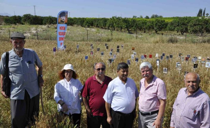 Başaklar kitap açtı