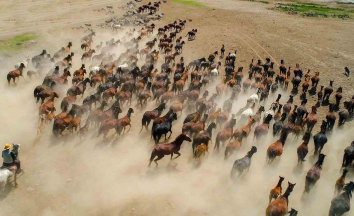 Başkan Büyükkılıç: "Hürmetçi Sazlığı’nda yatırımlar ile yeni bir dönem başladı"