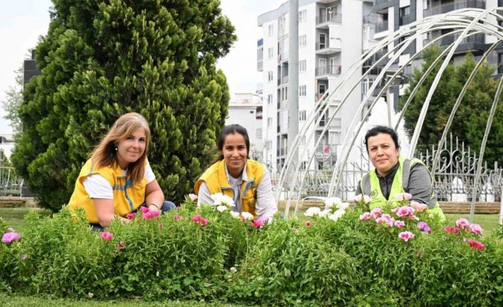 Başkan Çerçioğlu Efeler’i bahar çiçekleri ile süsledi