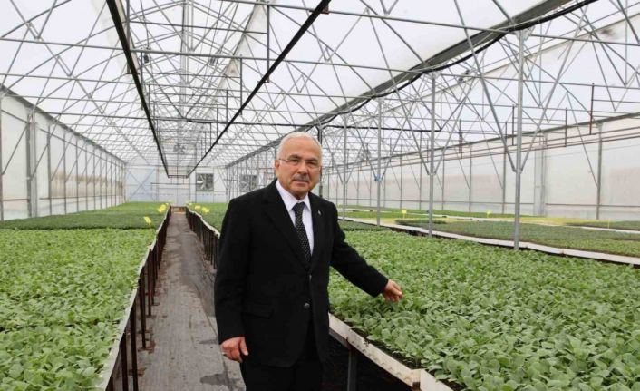 Başkan Güler: "5 yılda kendi ürettiğimiz 4 milyon adet fideyi üreticilerimize dağıttık"