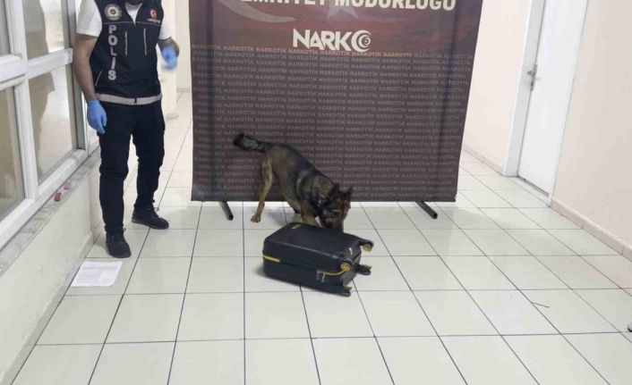 Batman’da uyuşturucu dolu valiz "Hektor"a takıldı