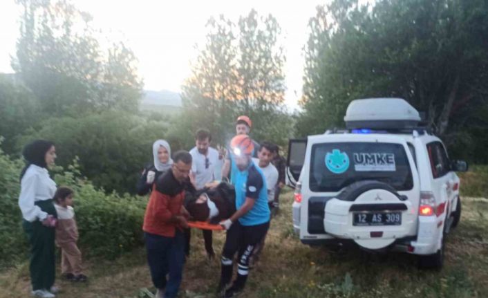 Bingöl’de otomobil uçuruma yuvarlandı: 2 yaralı